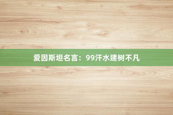 爱因斯坦名言：99汗水建树不凡