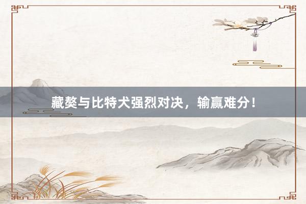藏獒与比特犬强烈对决，输赢难分！